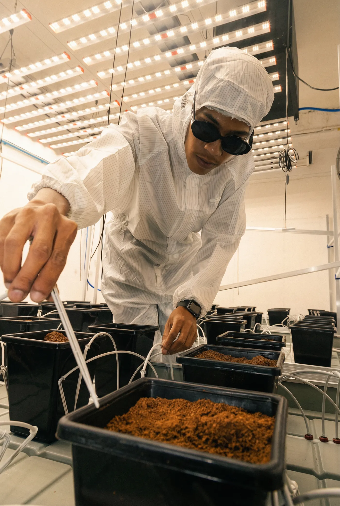 Space Gardens team inside the Bang Tao growing facility
