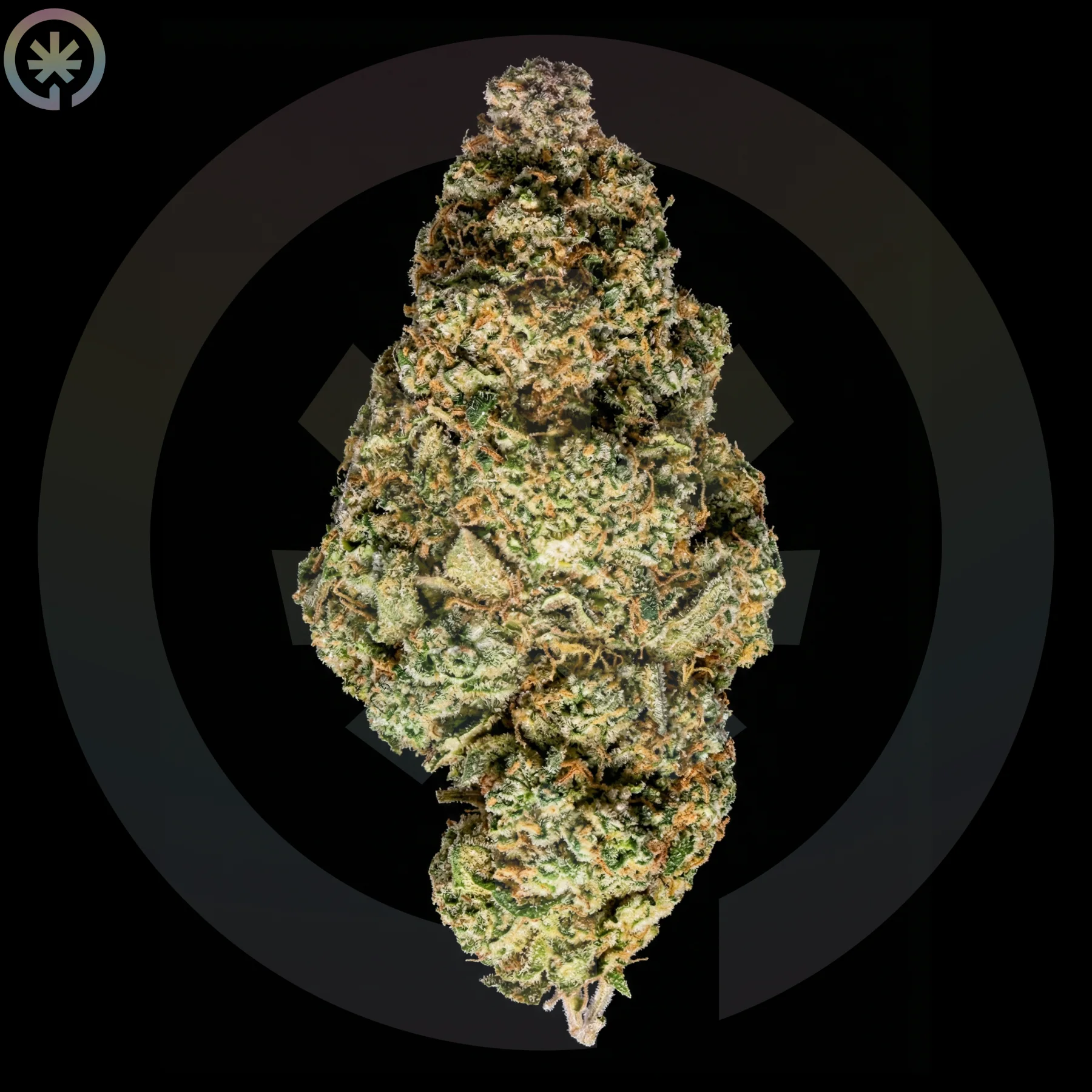 Amnesia Cannabis Flower