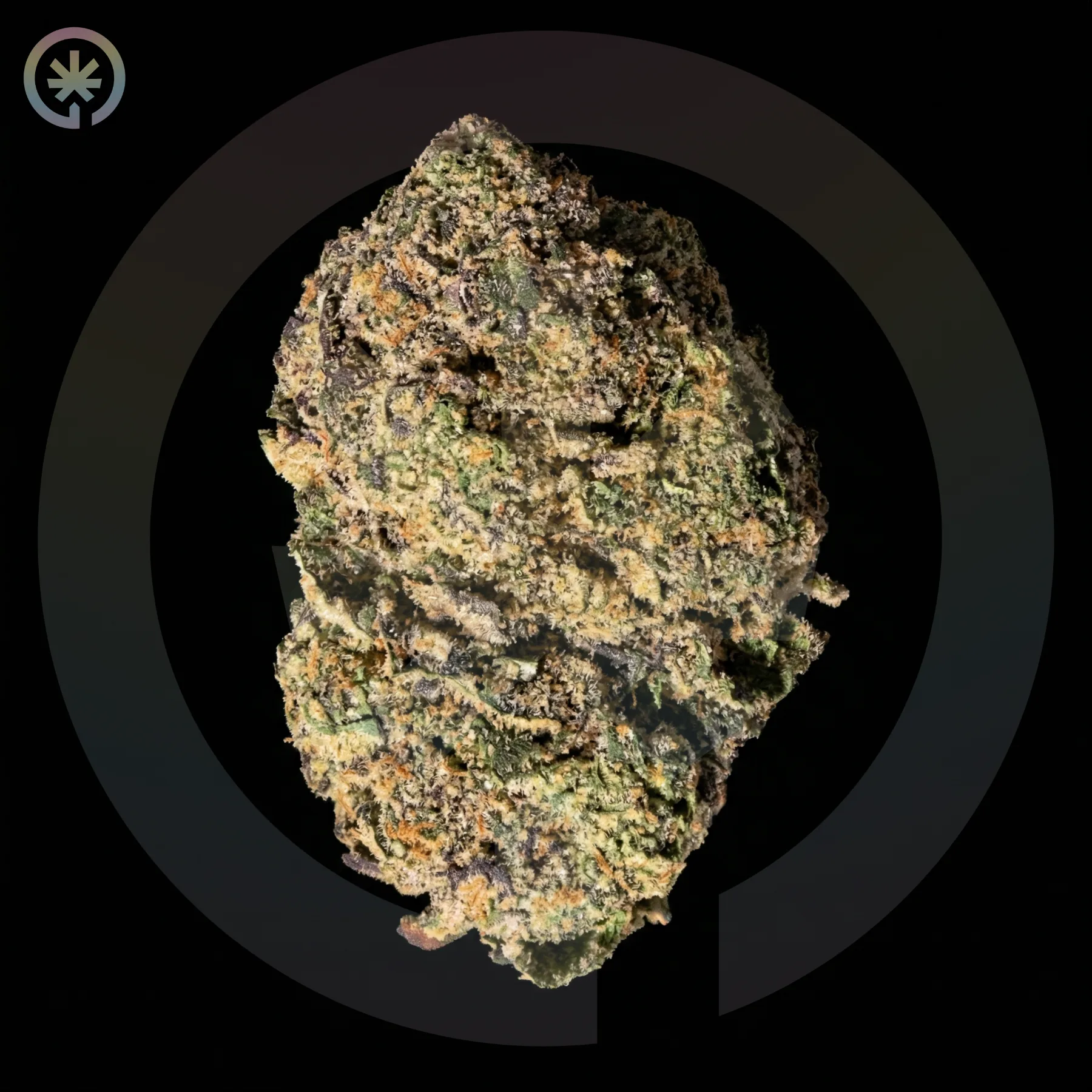 Apple Banana Zoap Cannabis Flower cannabis product in the Space Gardens Phuket catalogue