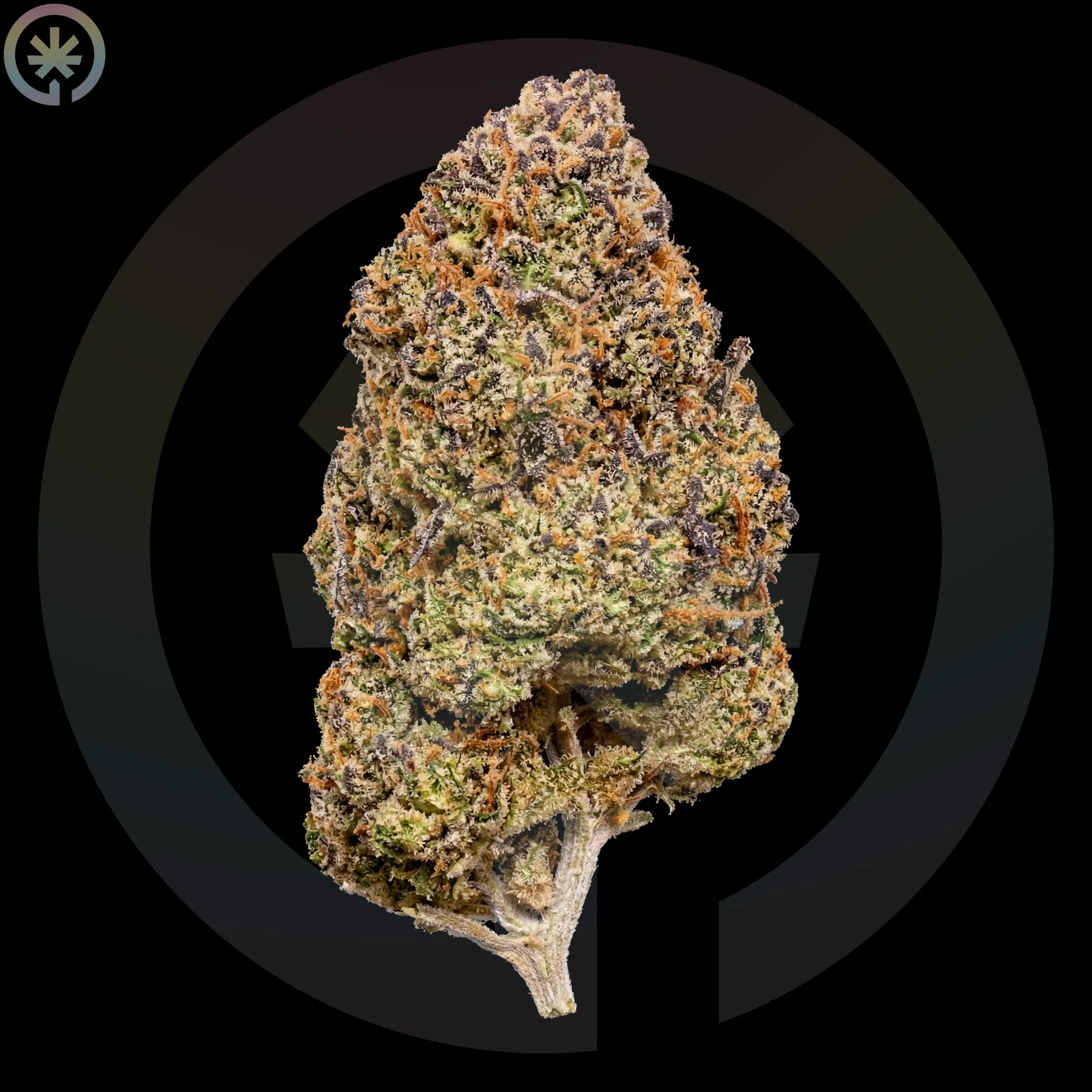 Durban Poison Cannabis Flower cannabis product in the Space Gardens Phuket catalogue