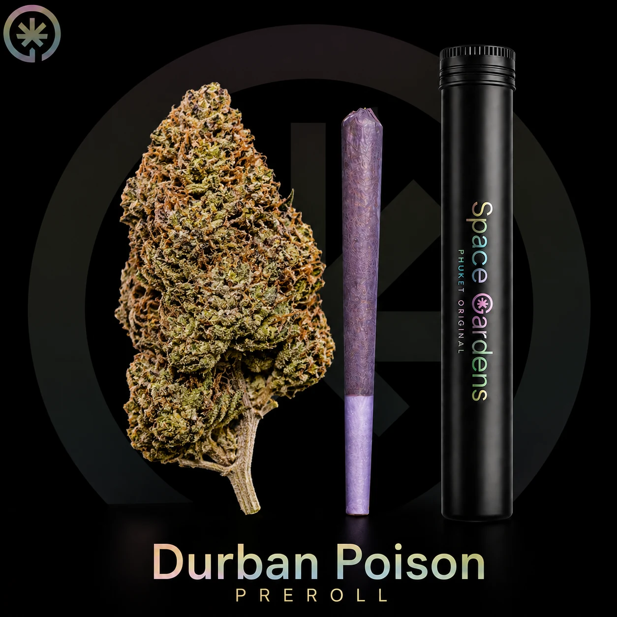 Durban Poison Pre-Roll cannabis product in the Space Gardens Phuket catalogue