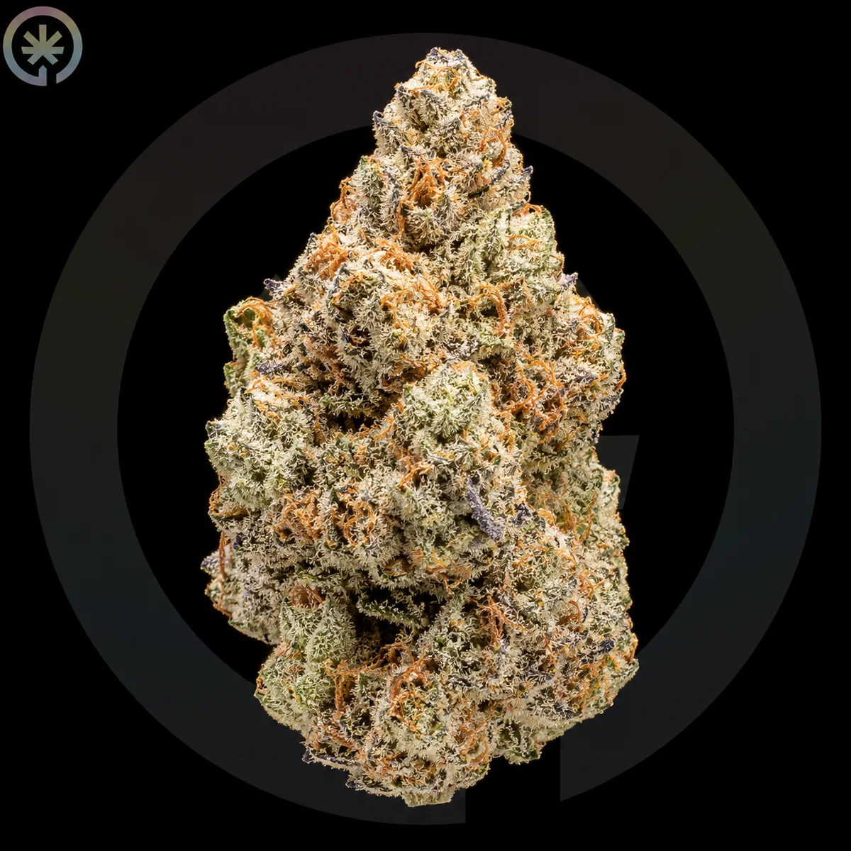 Gas Cream Cake