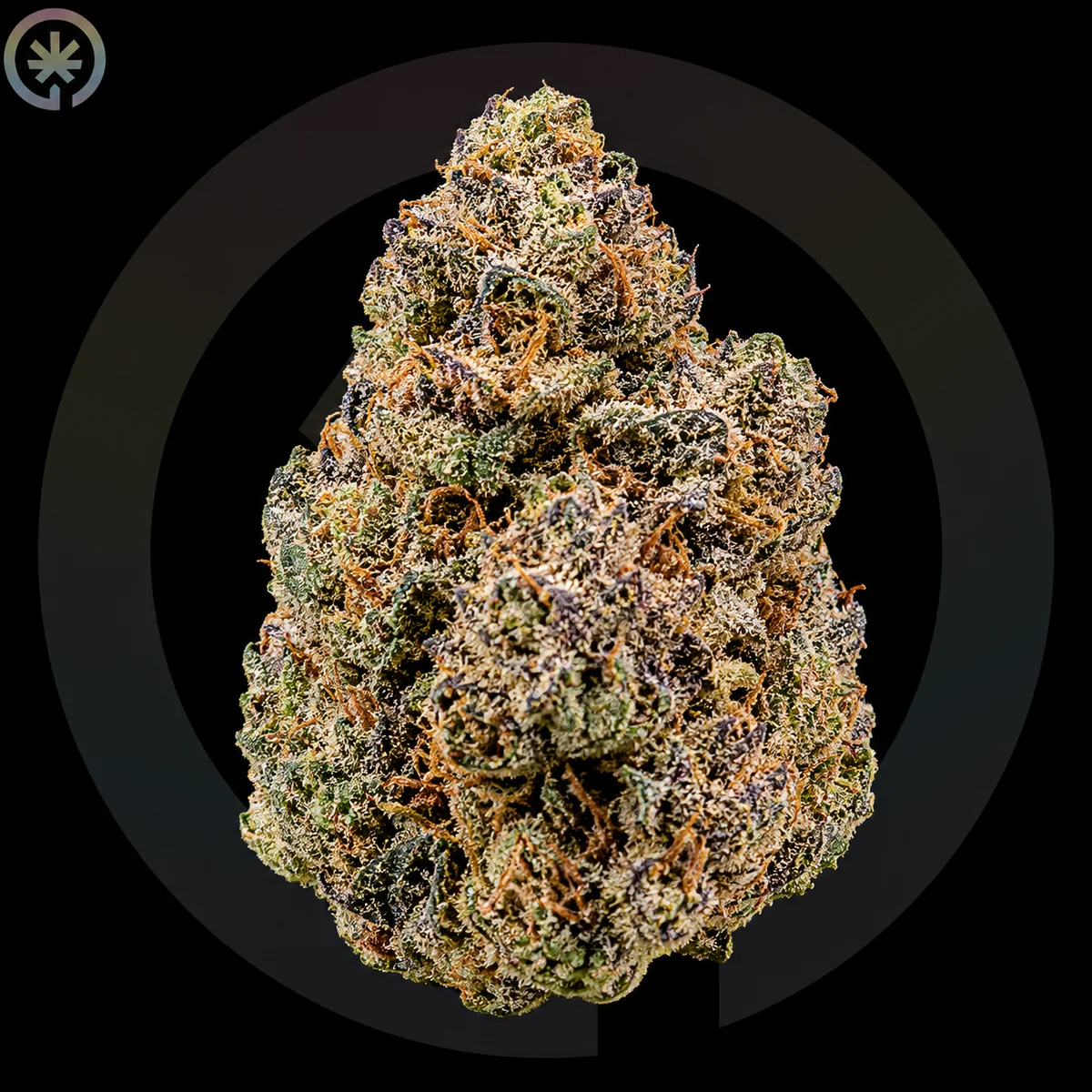 Girl Scout Cookies (GSC)