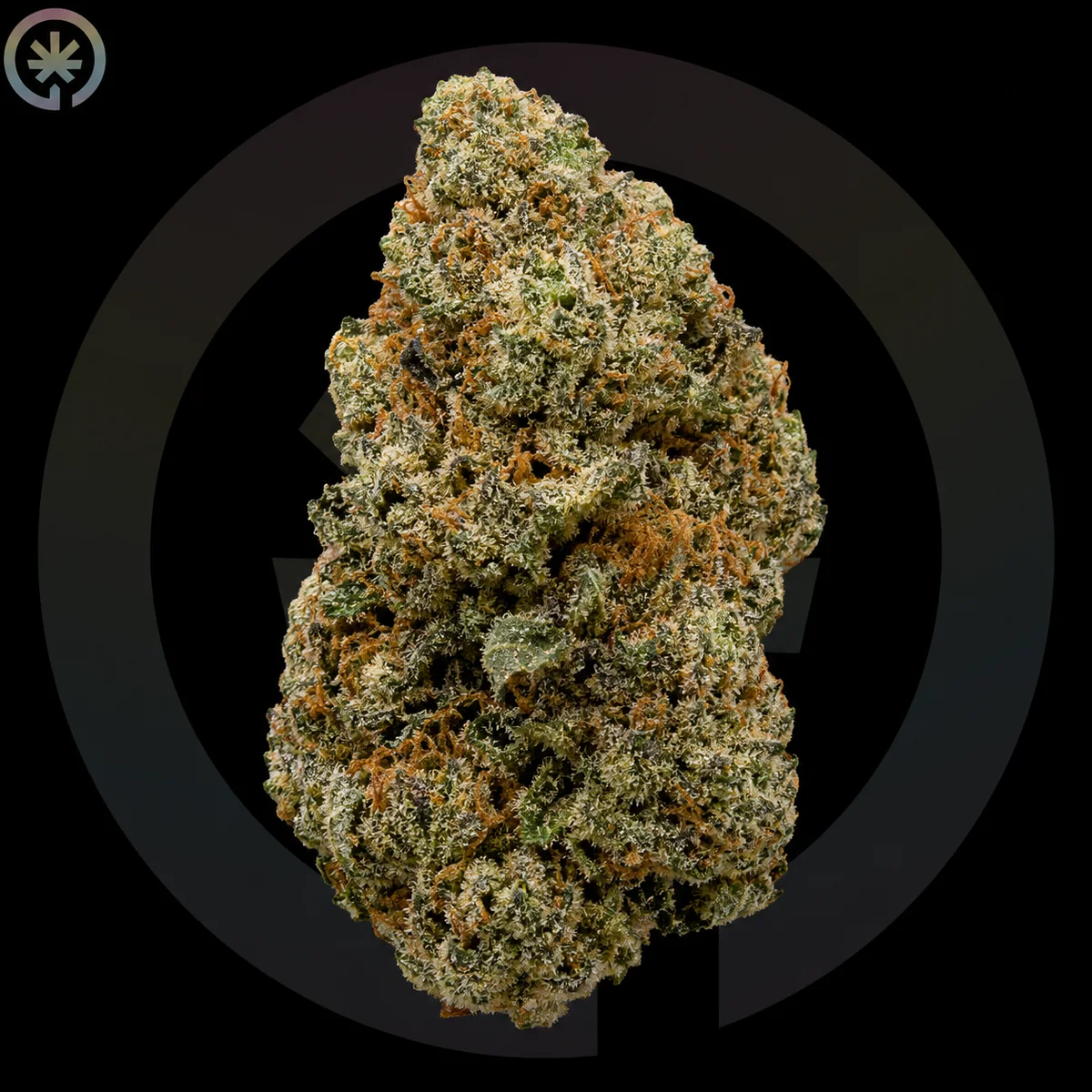 Gorilla Glue #4 (GG4)