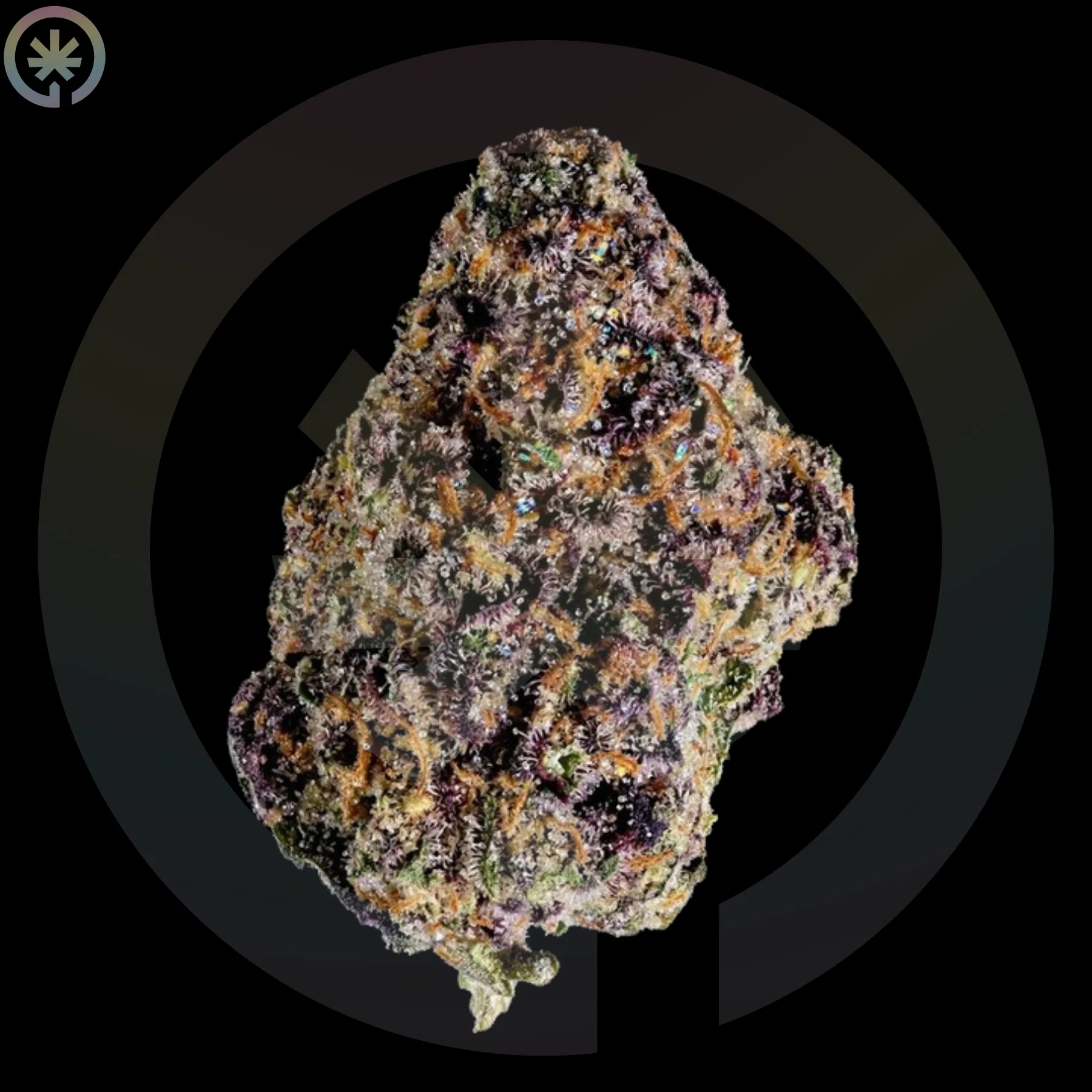 King's Juice Cannabis Flower cannabis product in the Space Gardens Phuket catalogue