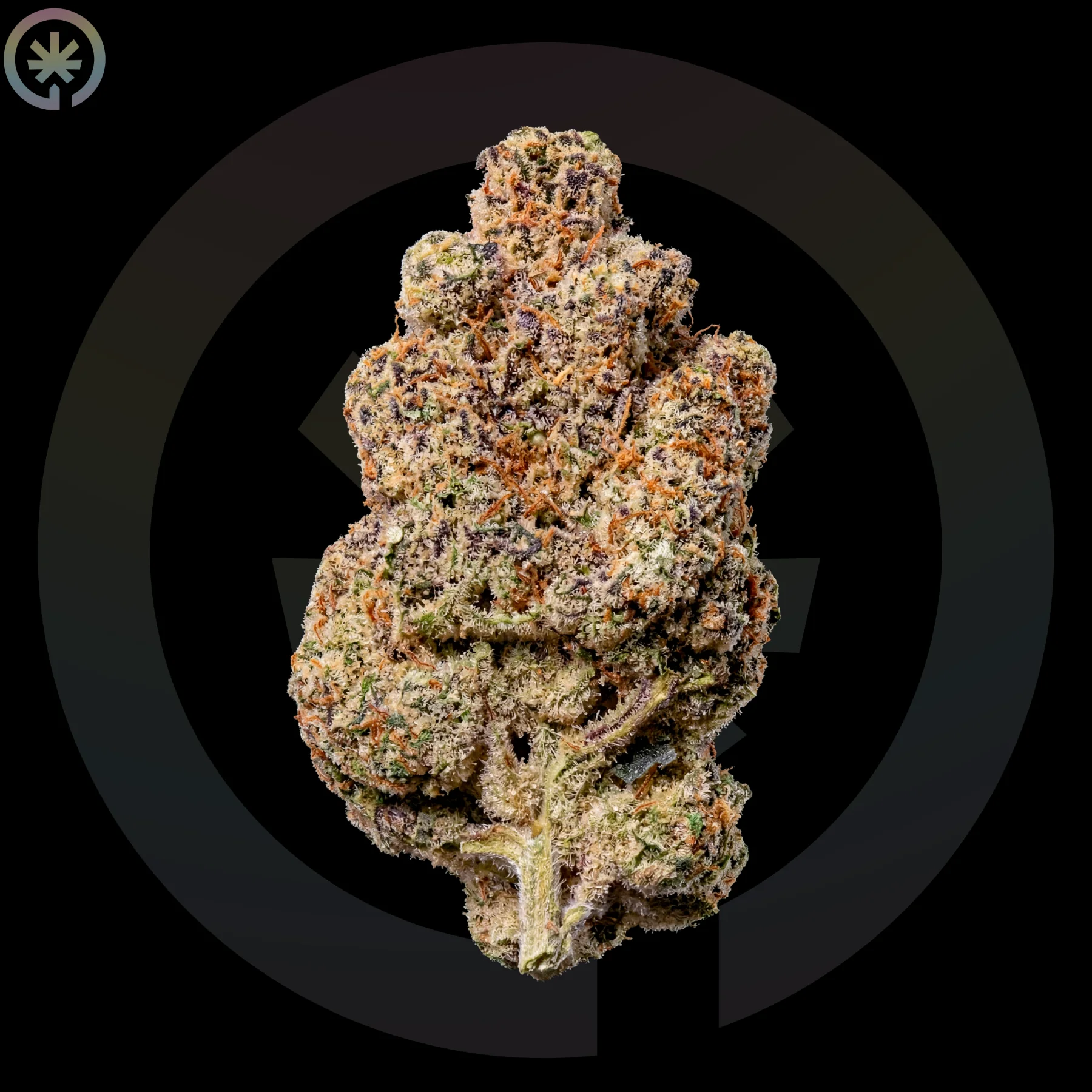 M.A.C 1 Cannabis Flower cannabis product in the Space Gardens Phuket catalogue