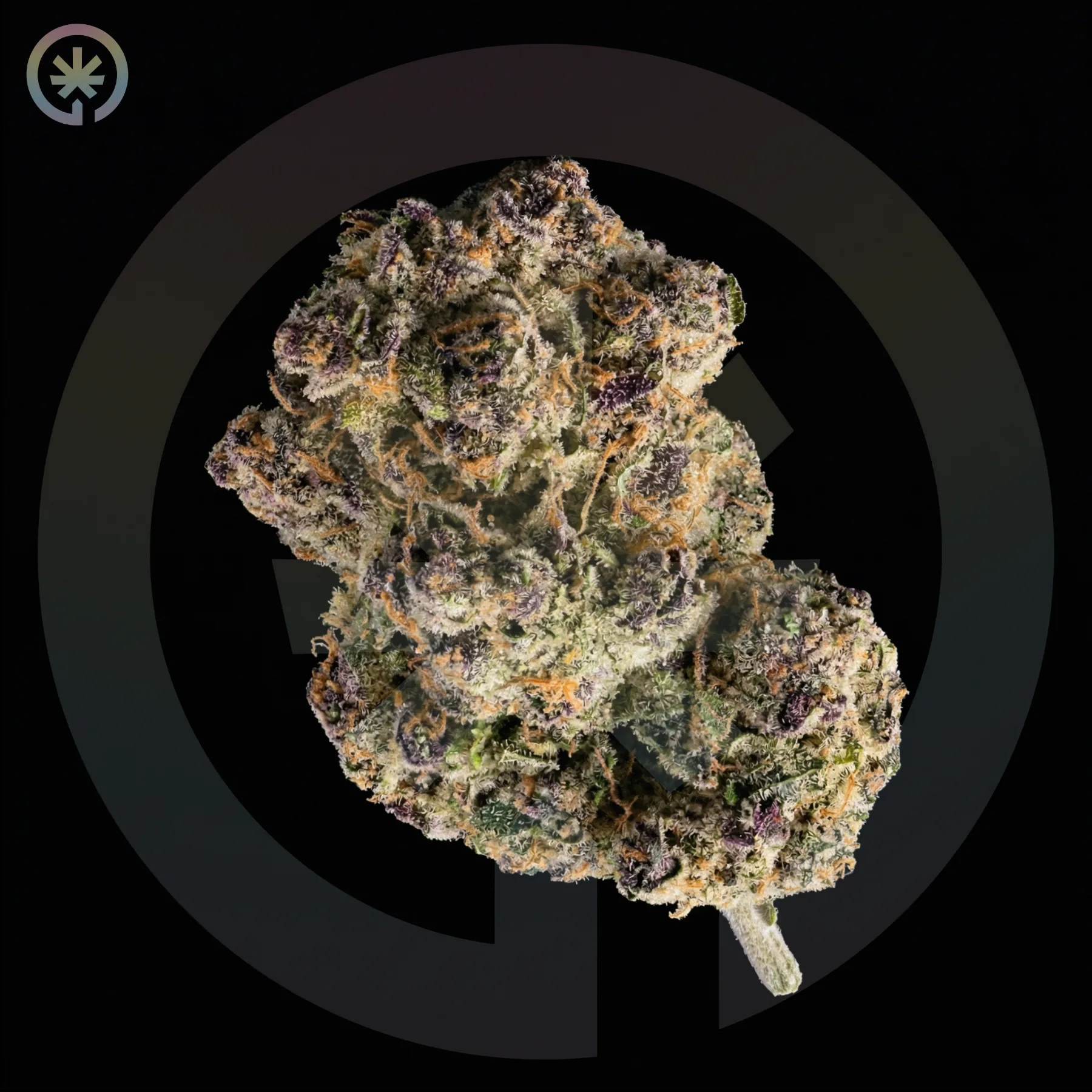 Maui Wowie Cannabis Flower cannabis product in the Space Gardens Phuket catalogue