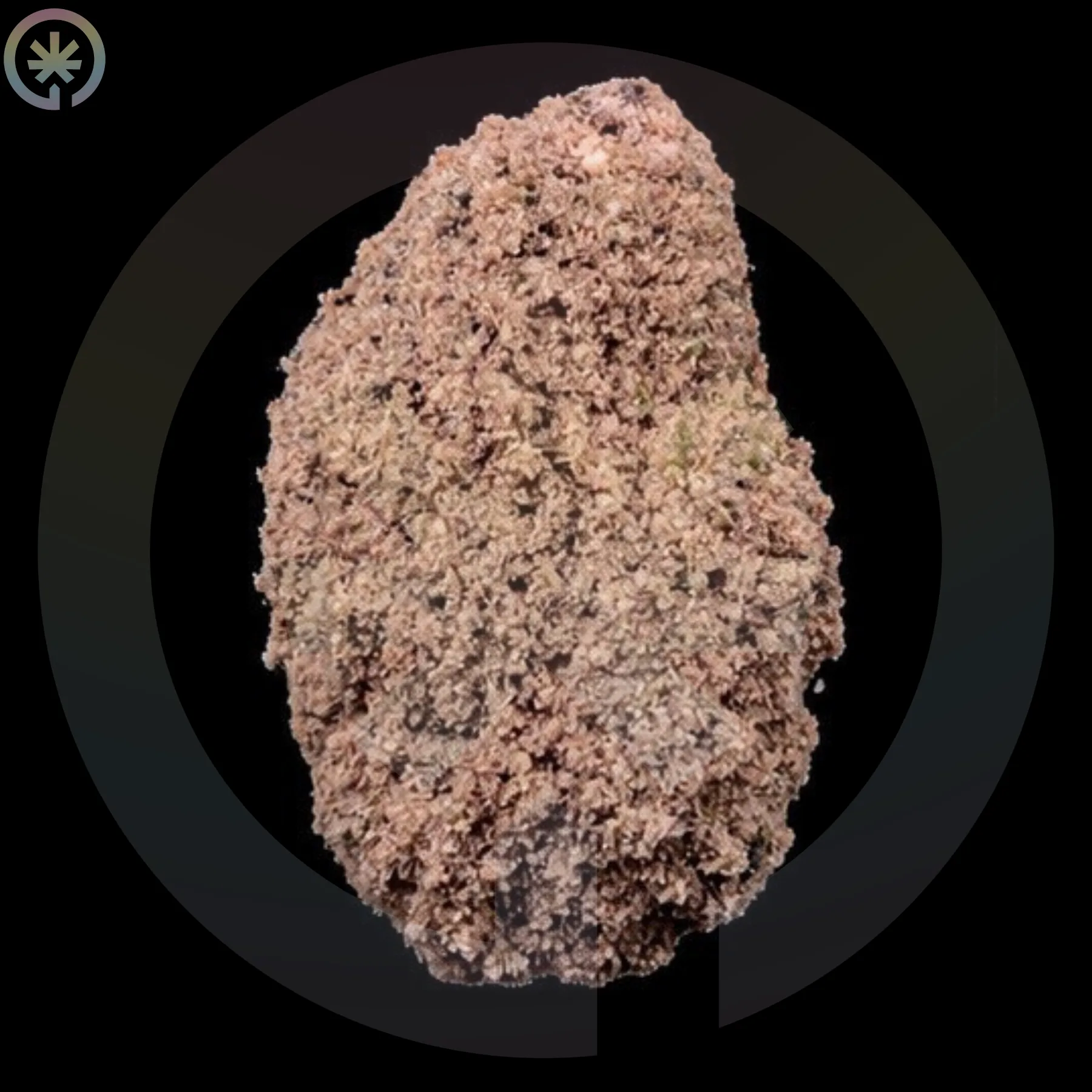 Moonrock Falcon 9 cannabis product in the Space Gardens Phuket catalogue