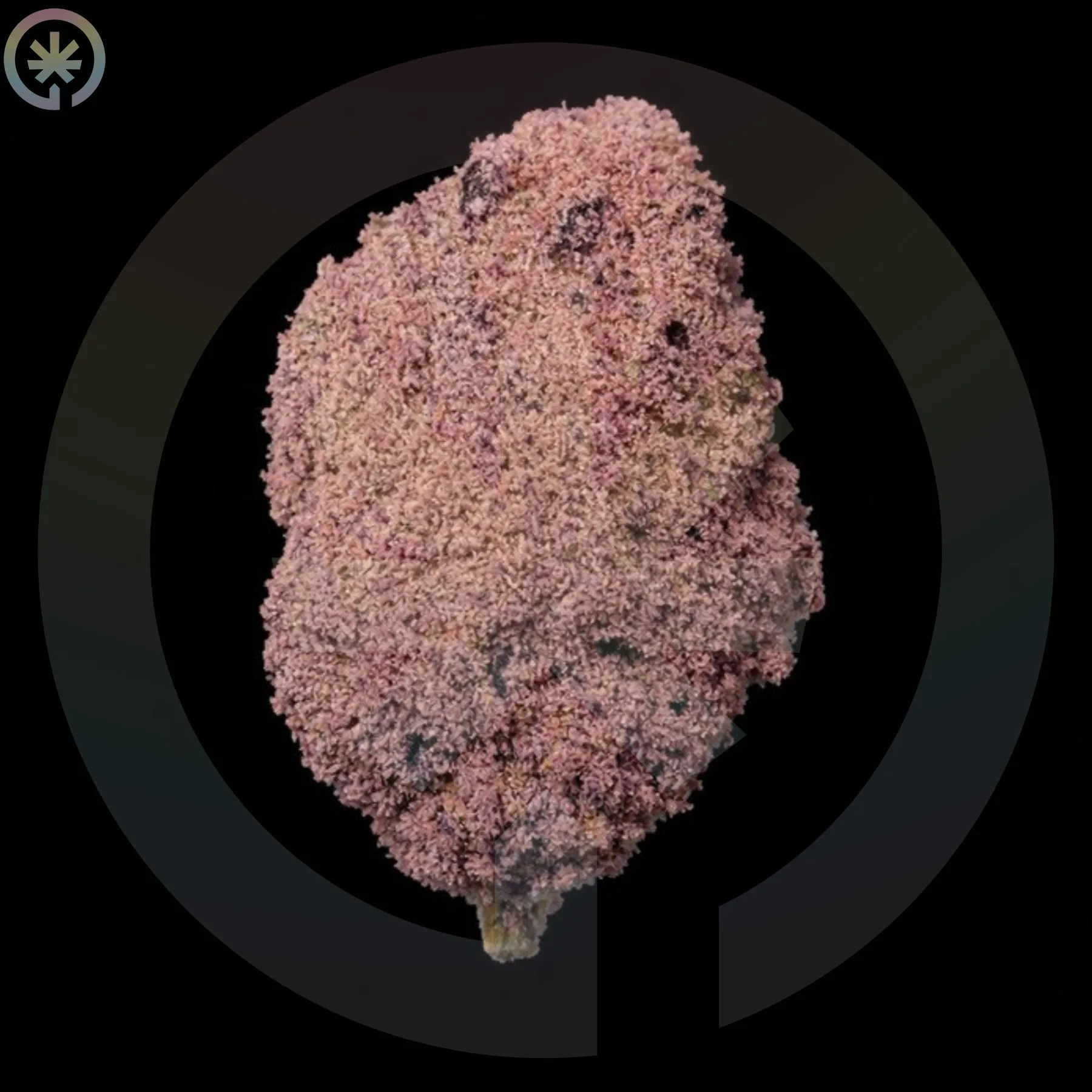 Moonrock Super Boof cannabis product in the Space Gardens Phuket catalogue
