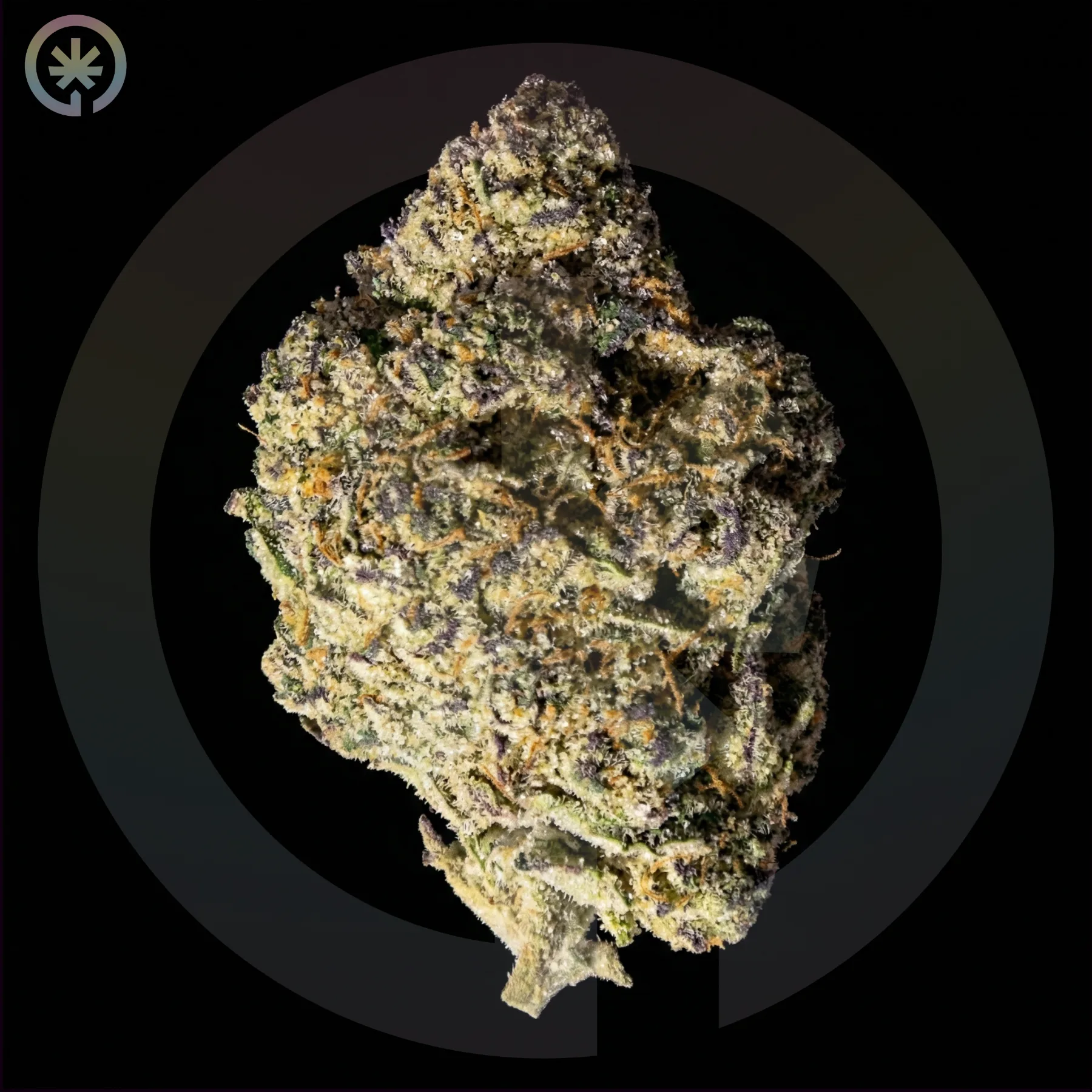 Zkittlez x Kush Mint Cannabis Flower cannabis product in the Space Gardens Phuket catalogue