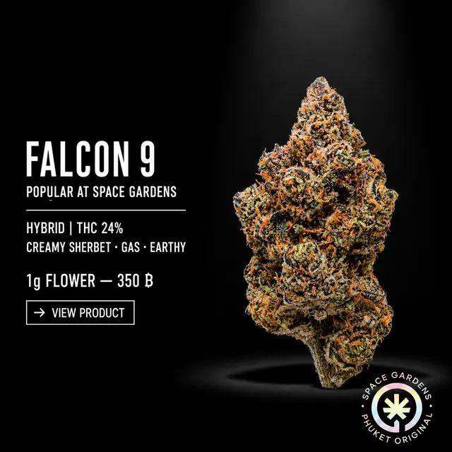 Falcon 9 Flower popular product from Space Gardens Phuket