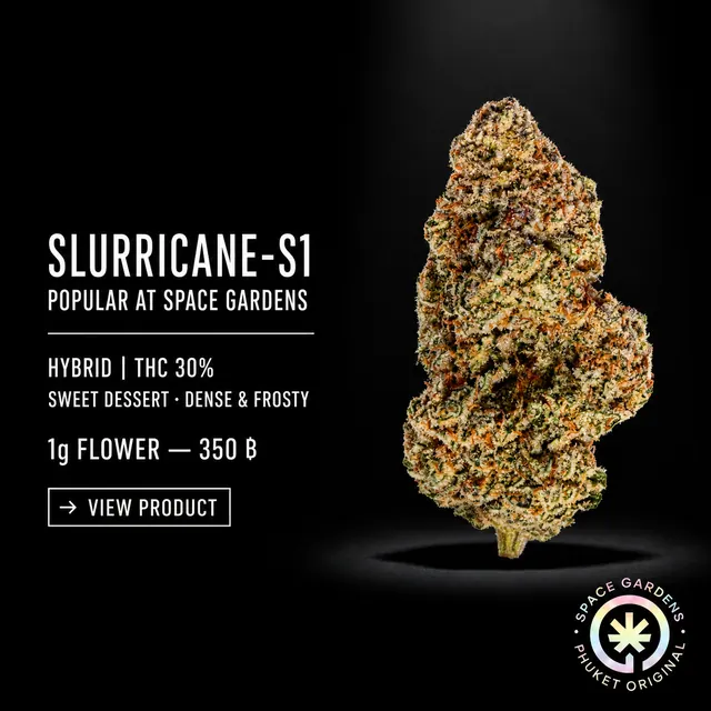 Slurricane-S1 Flower popular product from Space Gardens Phuket