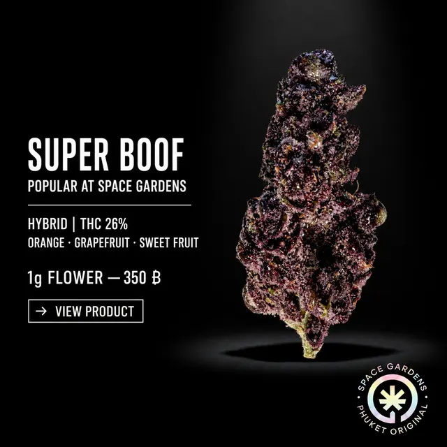 Super Boof Flower popular product from Space Gardens Phuket