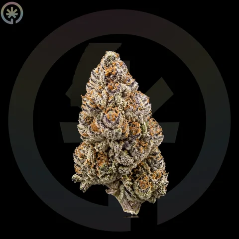 Alien Rock Candy Cannabis Flower cannabis product in the Space Gardens Phuket catalogue