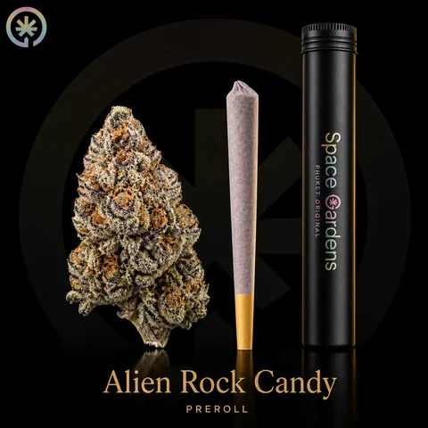 Alien Rock Candy Cannabis Pre-Roll cannabis product in the Space Gardens Phuket catalogue