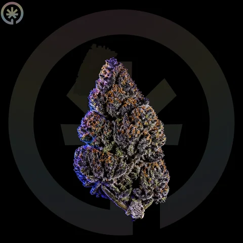 Blue Zushi Cannabis Flower cannabis product in the Space Gardens Phuket catalogue