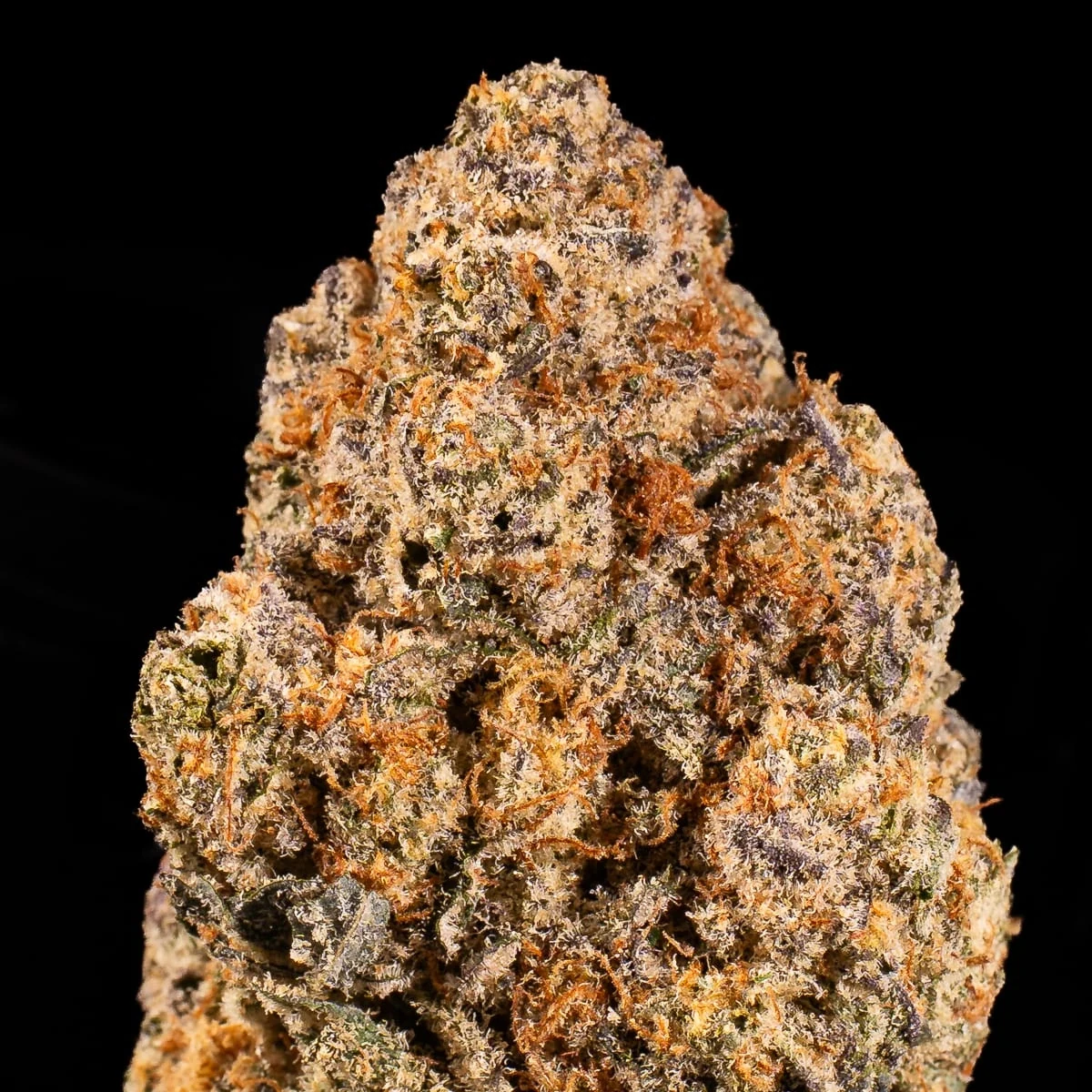 Do-Si-Dos Pre-Roll close up at Space Gardens Phuket