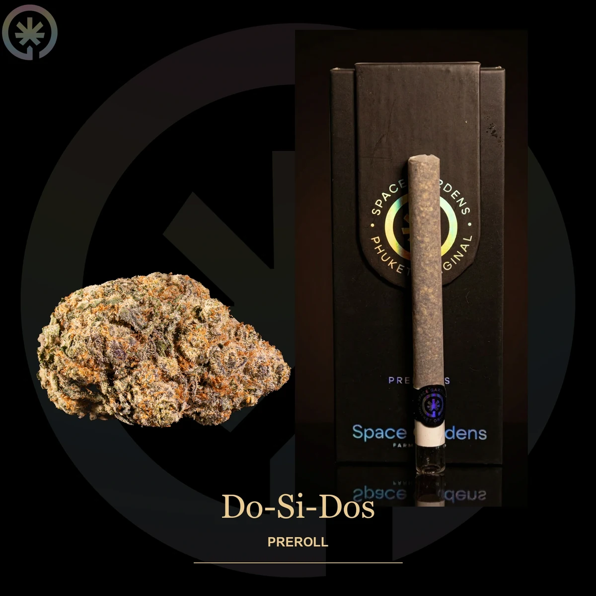 Do-Si-Dos Pre-Roll photo at Space Gardens Phuket