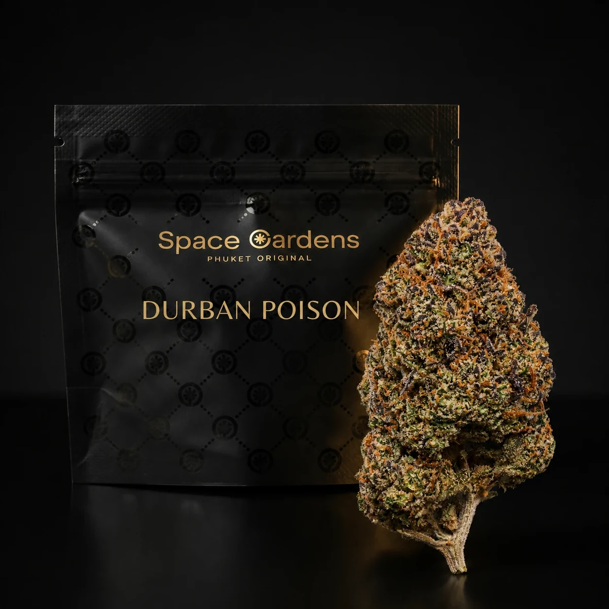 Durban Poison Cannabis Flower close up at Space Gardens Phuket