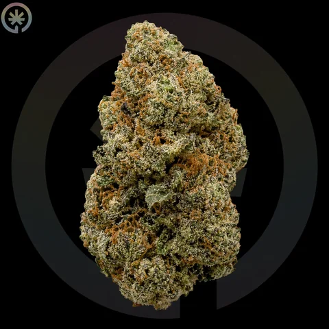 Gorilla Glue #4 (GG4)