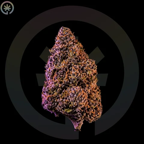 Halle Berry Cannabis Flower cannabis product in the Space Gardens Phuket catalogue
