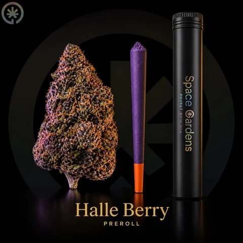 Halle Berry Cannabis Pre-Roll cannabis product in the Space Gardens Phuket catalogue