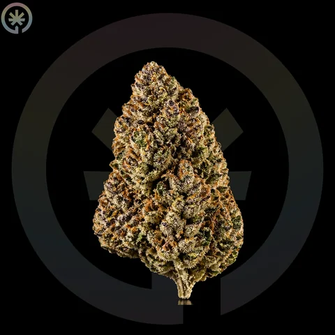 Malibu Marker Cannabis Flower cannabis product in the Space Gardens Phuket catalogue