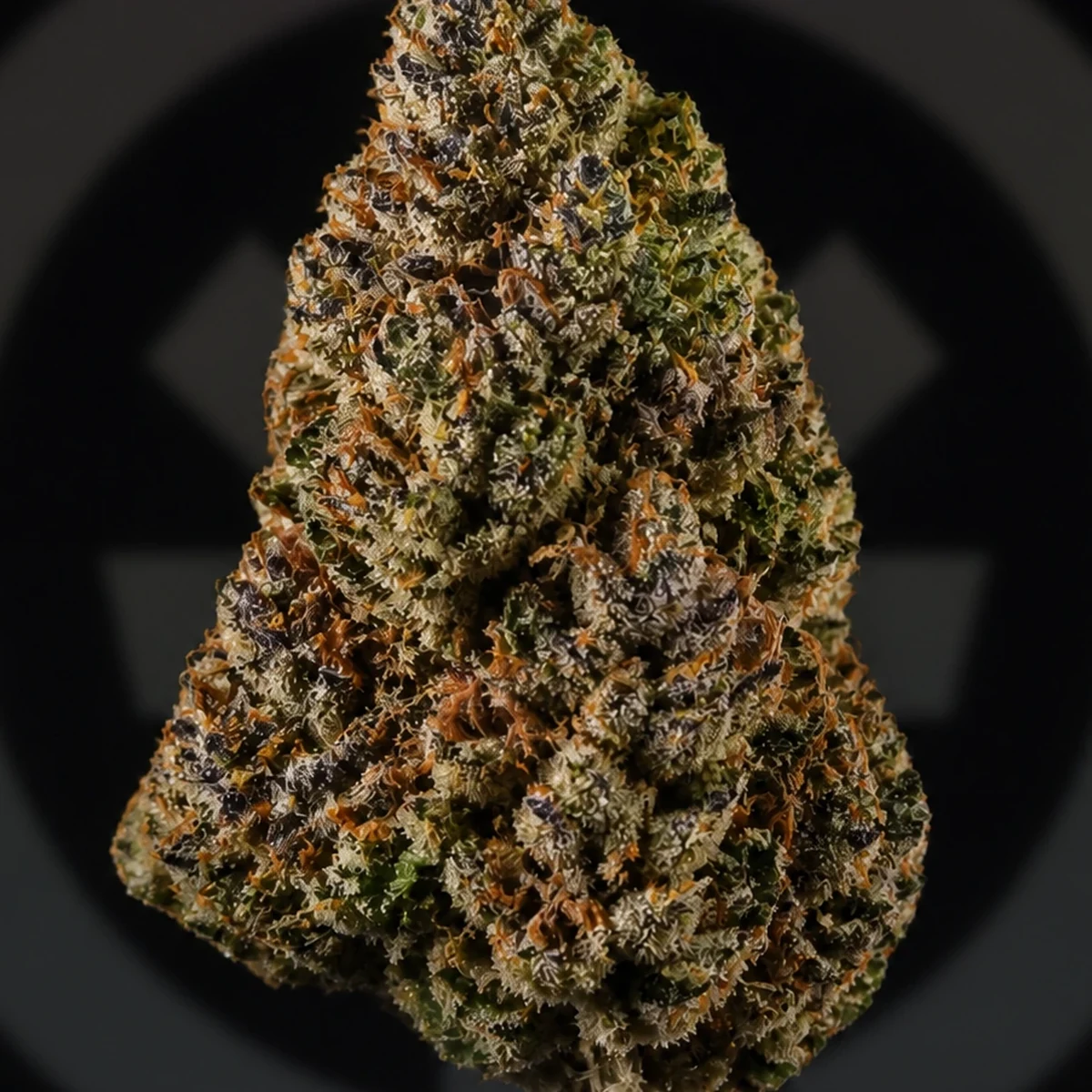 Malibu Marker Pre-Roll bud macro at Space Gardens Phuket