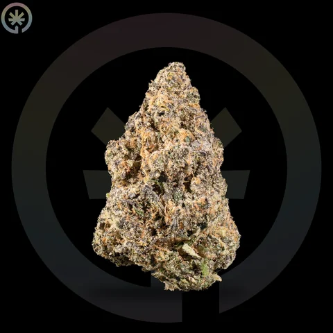 Papaya Pie Cannabis Flower cannabis product in the Space Gardens Phuket catalogue