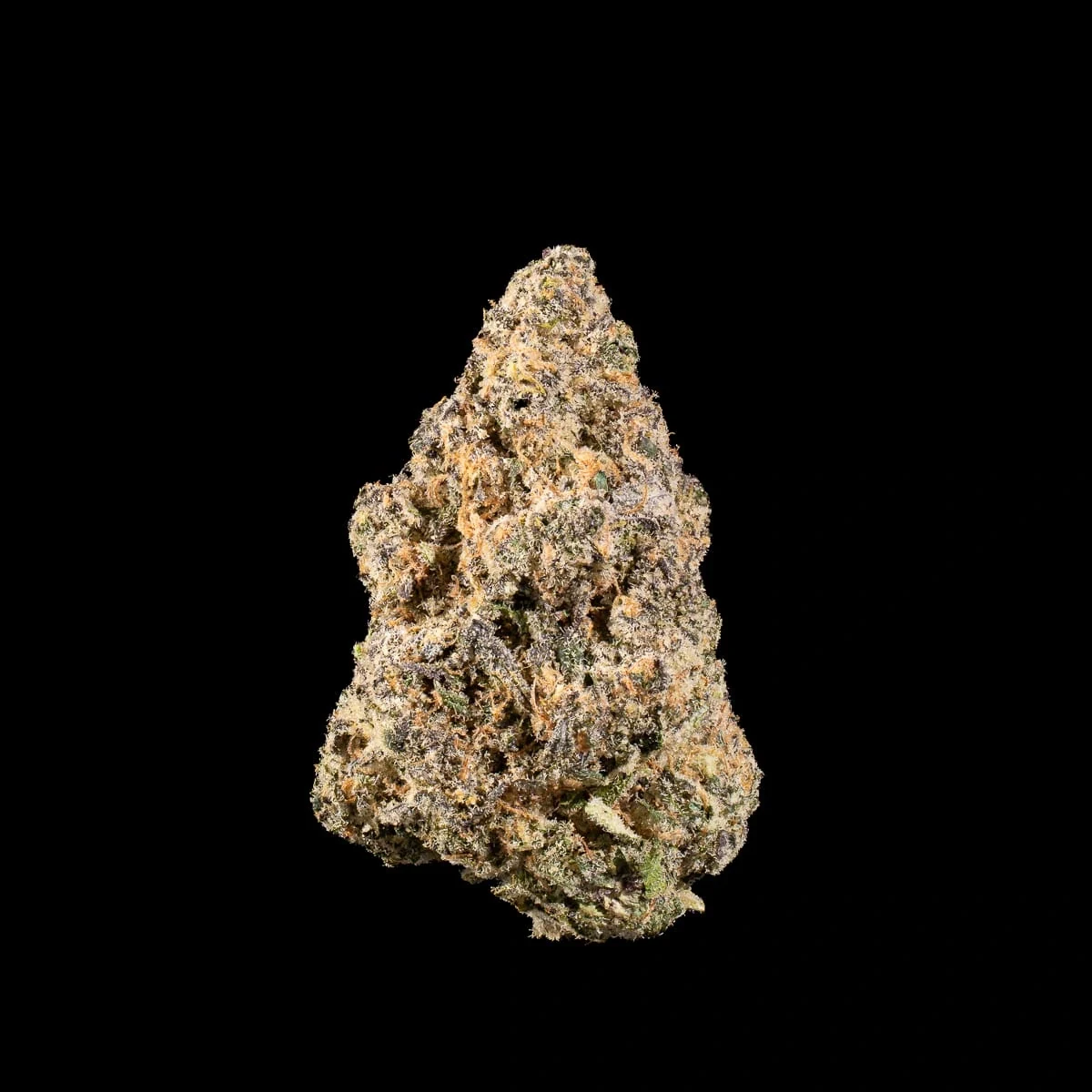 Papaya Pie Pre-Roll close up at Space Gardens Phuket