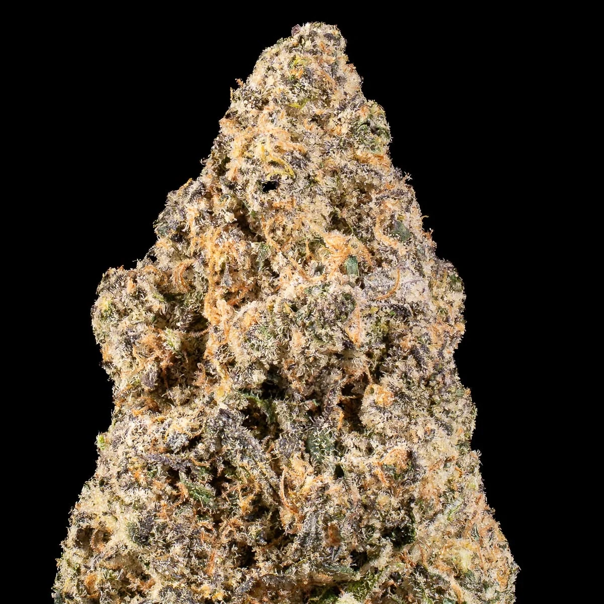 Papaya Pie Pre-Roll close up at Space Gardens Phuket