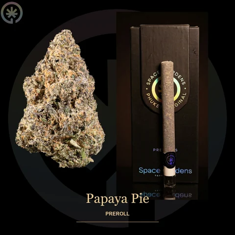 Papaya Pie Cannabis Pre-Roll cannabis product in the Space Gardens Phuket catalogue