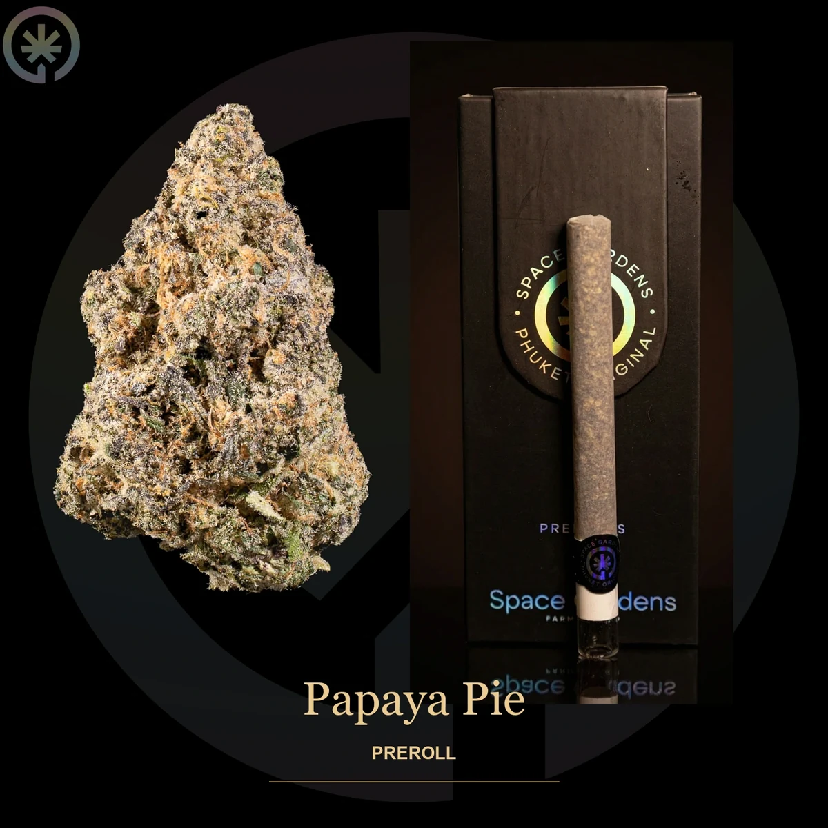 Papaya Pie Pre-Roll photo at Space Gardens Phuket