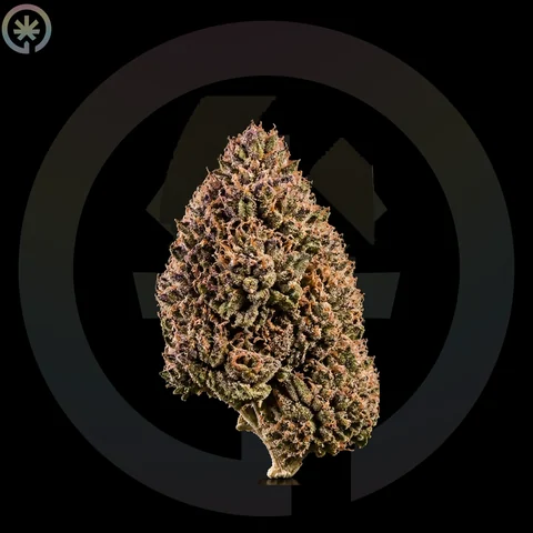Pink Honey Cannabis Flower cannabis product in the Space Gardens Phuket catalogue