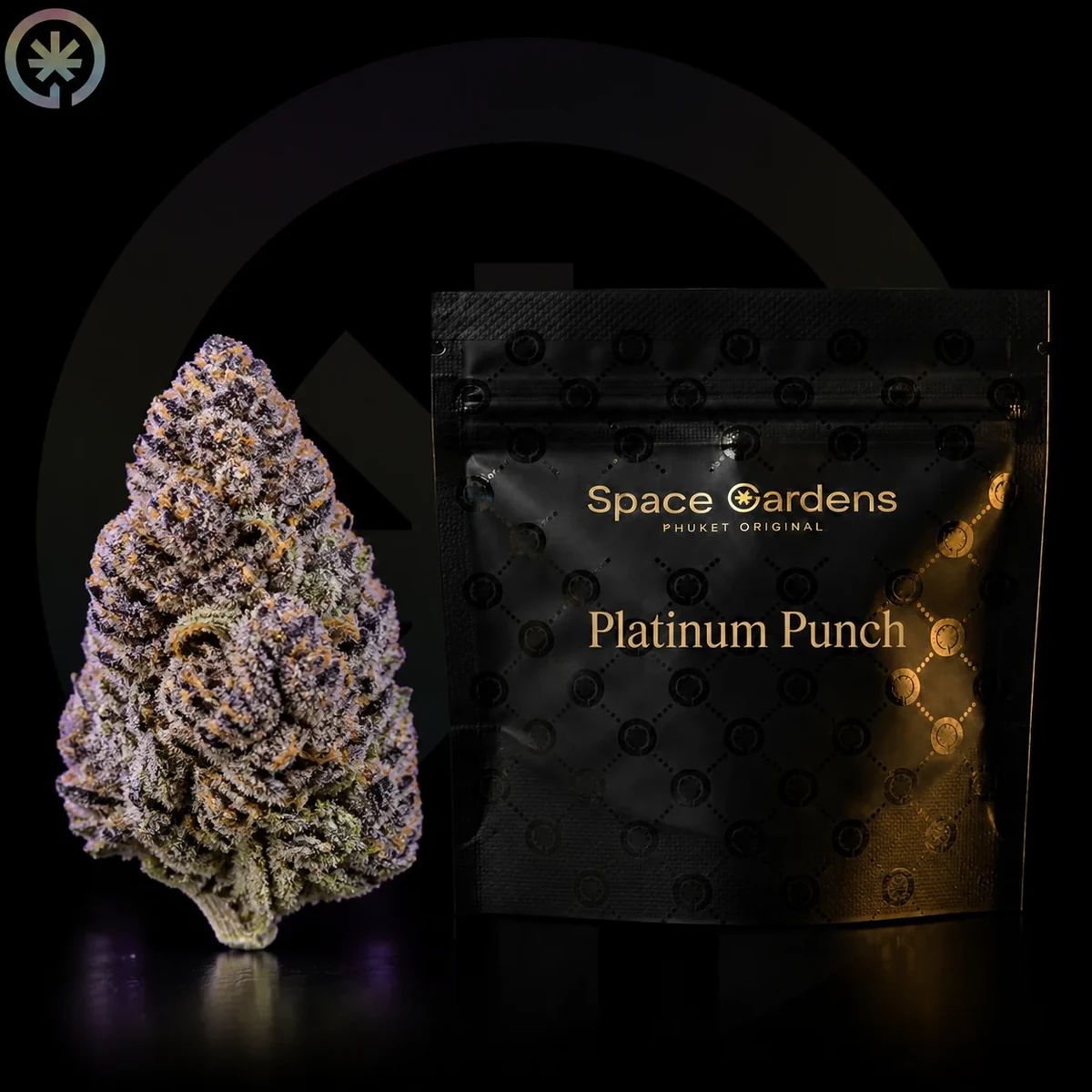 Platinum Punch Cannabis Flower packaging at Space Gardens Phuket