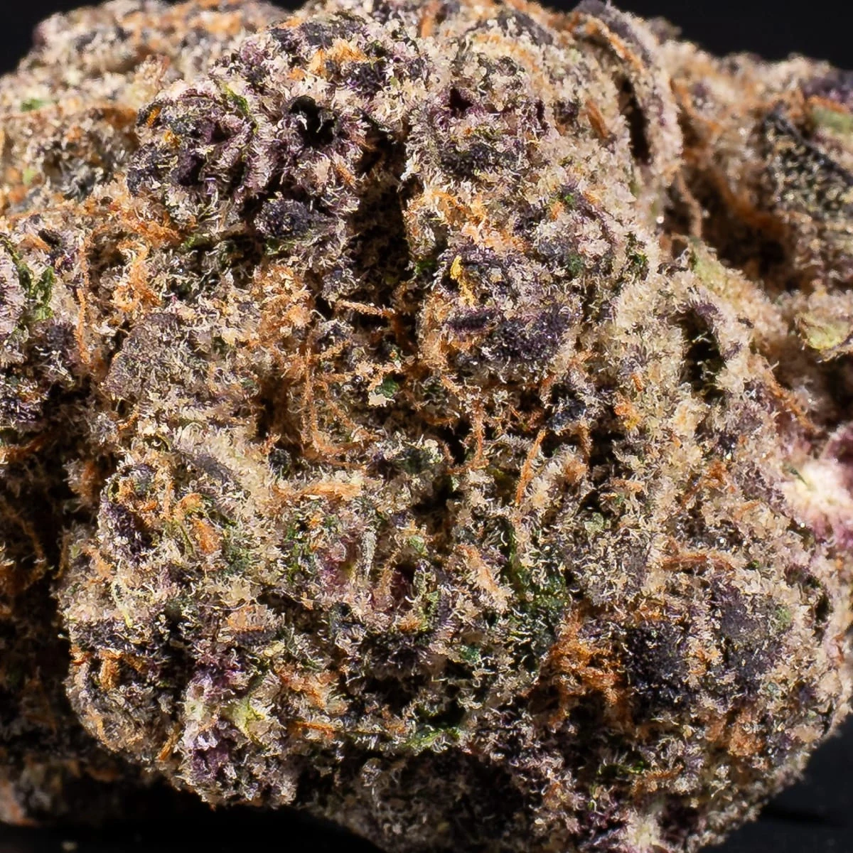 Sour Diesel Cannabis Flower bud macro at Space Gardens Phuket