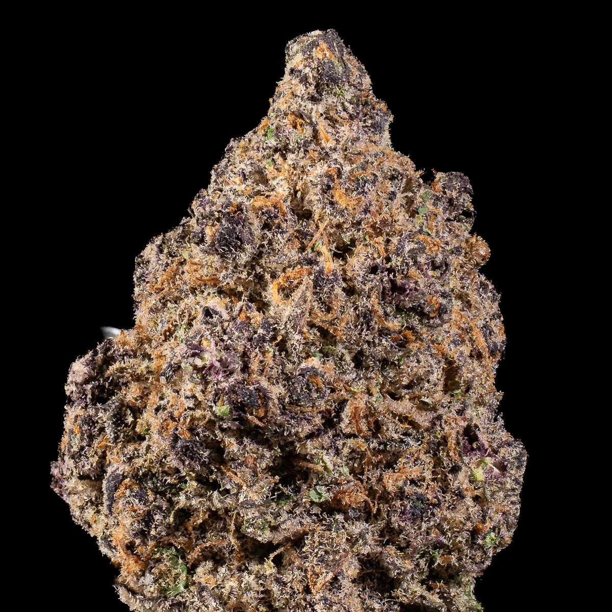 Sour Diesel Pre-Roll close up at Space Gardens Phuket