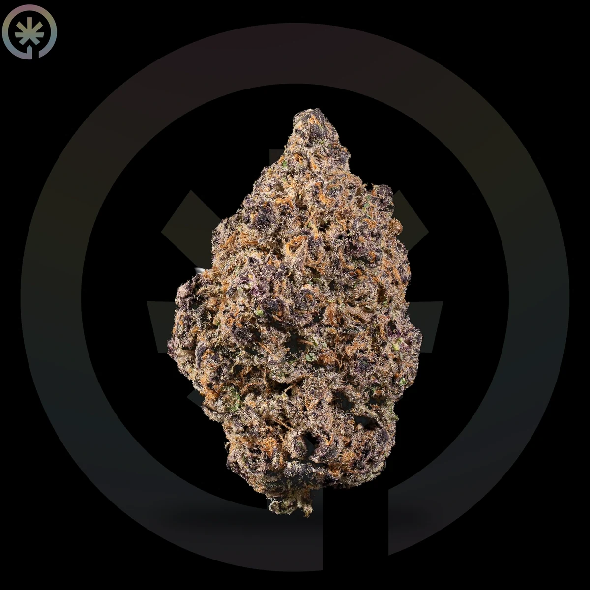 Sour Diesel Pre-Roll close up at Space Gardens Phuket