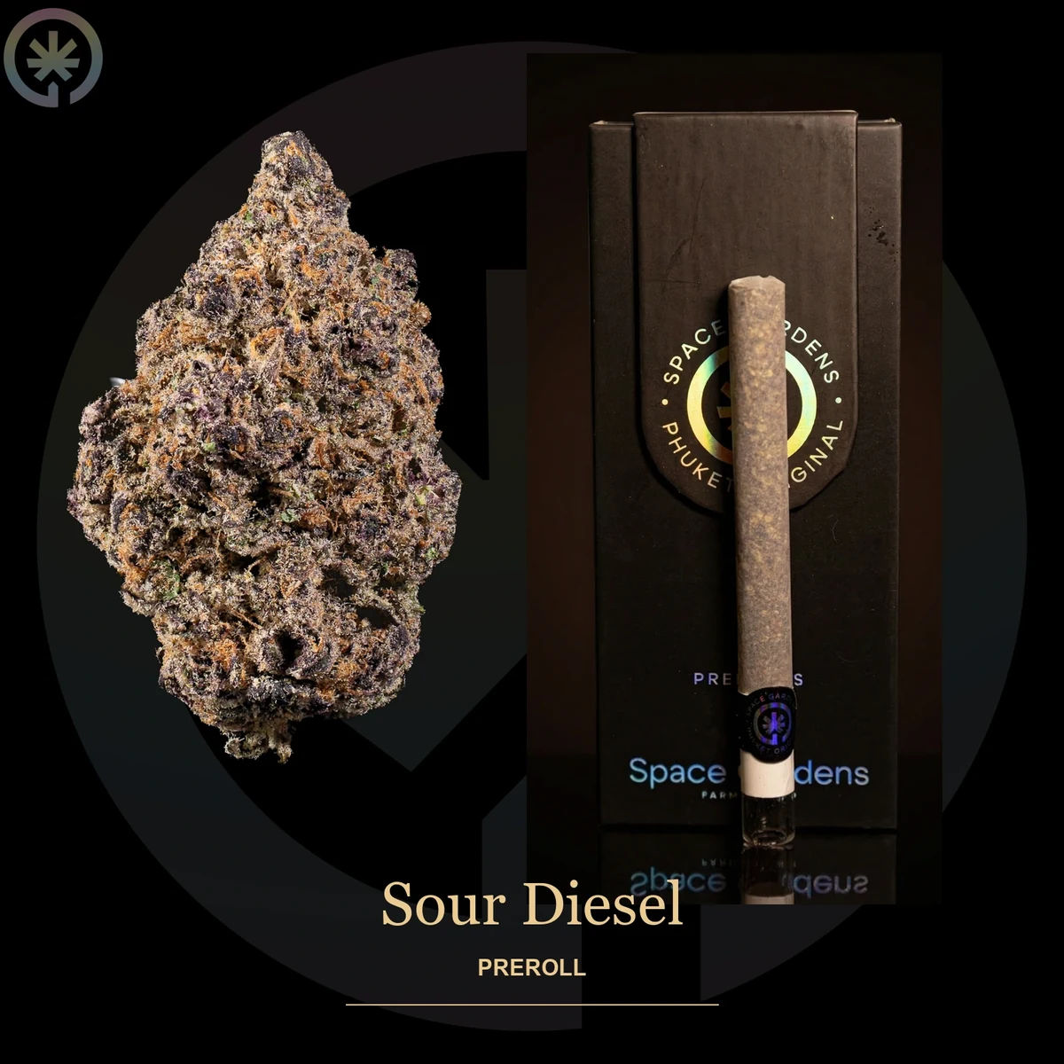 Sour Diesel Pre-Roll photo at Space Gardens Phuket