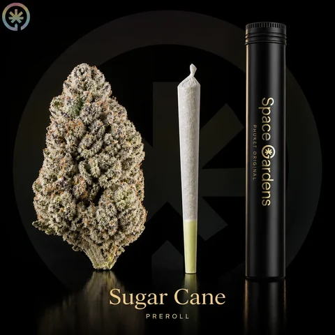 Sugar Cane Cannabis Pre-Roll cannabis product in the Space Gardens Phuket catalogue