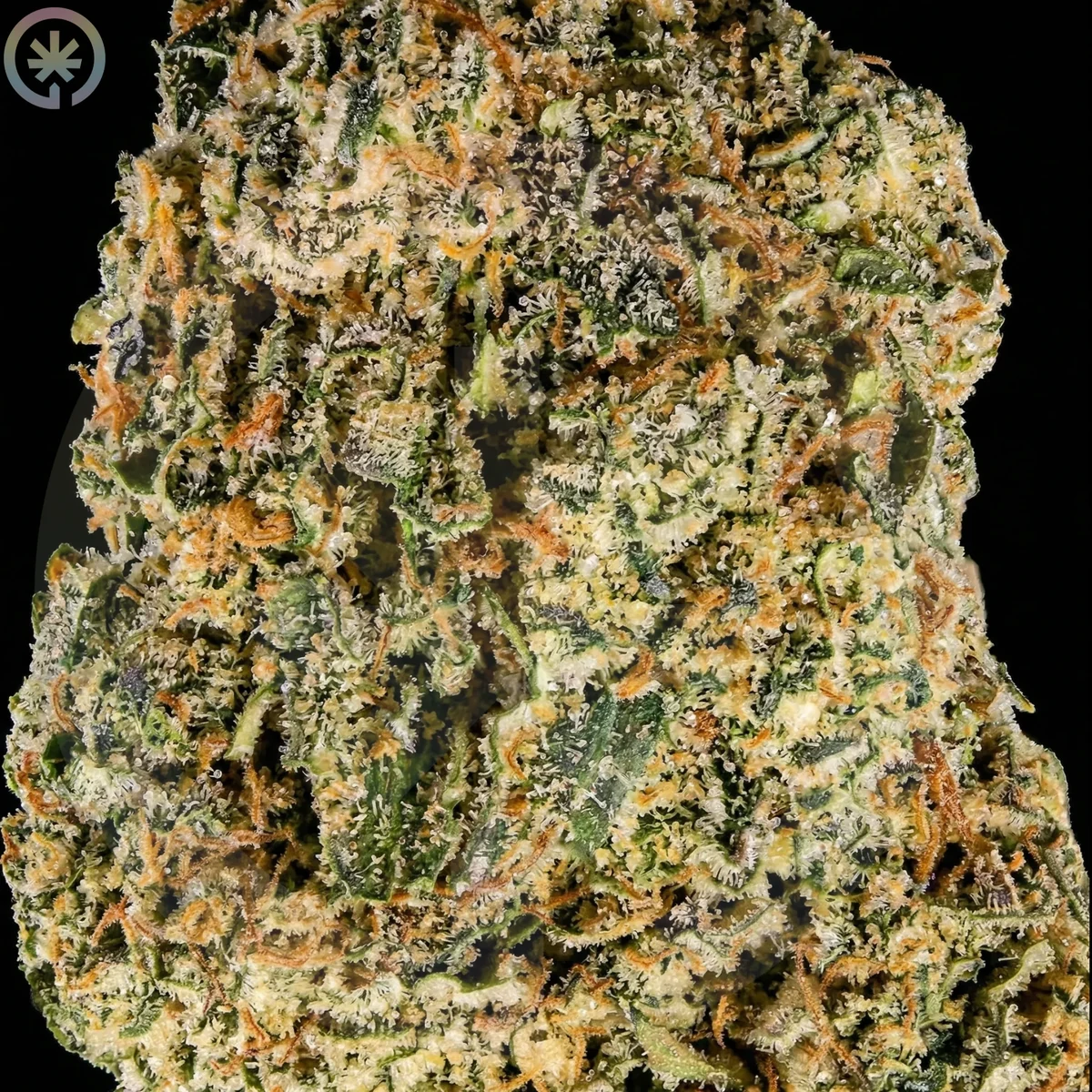 Macro view of White Widow trichomes and orange pistils