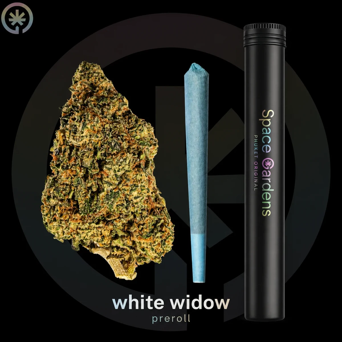 White Widow pre-roll in Phuket with flower and Space Gardens tube